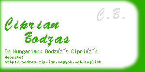 ciprian bodzas business card